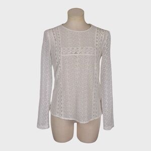 Zara Trafaluc Sheer Embroidered Lace Long Sleeve Top with Back Buttons